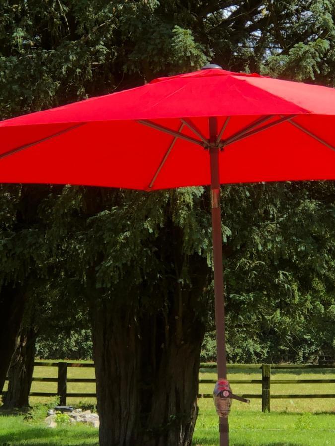 Le Domaine D'Olene Panzió Le Pin  Kültér fotó