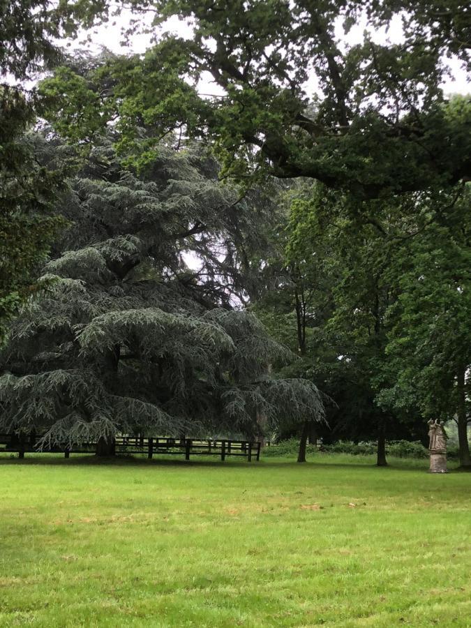 Le Domaine D'Olene Panzió Le Pin  Kültér fotó